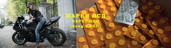 ГАЛЛЮЦИНОГЕННЫЕ ГРИБЫ Беломорск