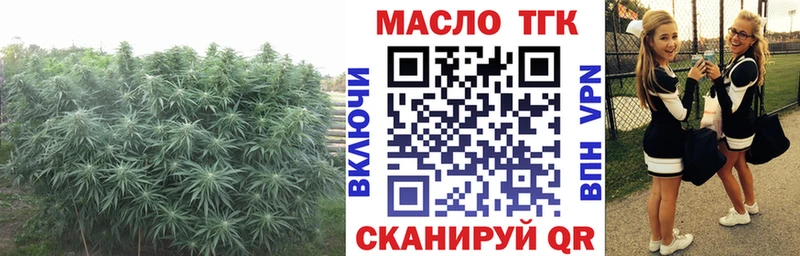 Дистиллят ТГК гашишное масло  как найти закладки  Нарьян-Мар 