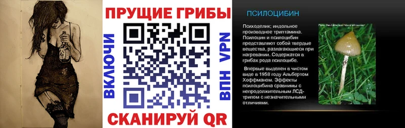 Галлюциногенные грибы MAGIC MUSHROOMS  наркошоп  Нарьян-Мар 